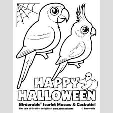 Birds are animals that are part of the fauna of the whole world, there is a great variety of birds, and all of them are characterized by their body covered with feathers and wings to be able to fly, although not all of them can do it. Halloween Scarlet Macaw And Cockatiel Coloring Page Fun Free Downloads Activity Pages Birdorable