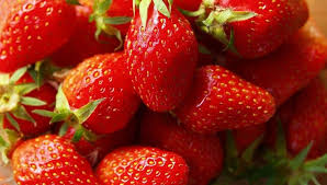 A Chainaz Les Frasses L Auto Cueillette De Fraises Des Pays De Savoie Avec Nadia Viviant De La Fraiseraie