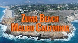Zuma, a character from paw patrol; Zuma Beach Malibu Ca Youtube