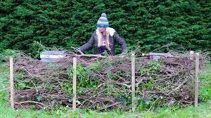 “The Beauty and Benefits of a Simple Dead Hedge: A Natural Haven for ...