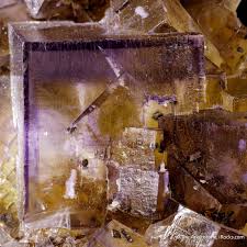 Image result for Azul Fluorite 1998 Motorcycle