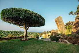 Check spelling or type a new query. Finca El Canuelo Guadalquivir Catering Cadiz