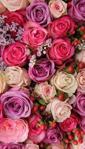 Background Bunga Mawar Hitam Image Gallery Mawar Hitam Gambar Bunga Inidiatastersebut Diatas Gambar Background Bunga Flower Wallpaper Flowers Trendy Plants