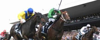 On saturday, the freedman name could once again grace the golden slipper honour roll, 25 years on. Golden Slipper 2021 Race Day Dates Ticket Prices Horse Field Times