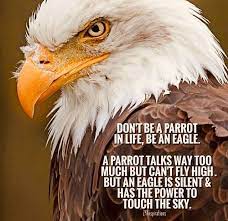 Motivational Stories Eagles Quotes Boss Quotes Memes Quotes