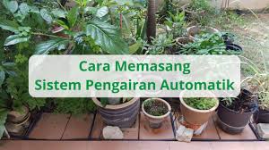 Rumah yang bersih, sejuk, segar dan nyaman akan mempengaruhi mood anda sebagai pemilik rumah bahkan tamu yang berkunjung ke kediaman anda. Cara Memasang Sistem Pengairan Automatik Untuk Tanaman Kebuna Putrajaya