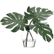 626 x 939 jpeg 147 кб. Monstera Leaf In Glass Vase In 2021 Leaf Vase Monstera Leaf Monstera