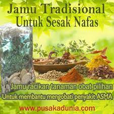 Jamu Tradisional Obat Sesak Nafas Tanaman Tanaman Obat Tertinggi