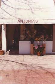 We did not find results for: The Tale Of Antonia S Flowers Vanity Fair