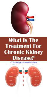 Pin On Kidney Disease Warrior