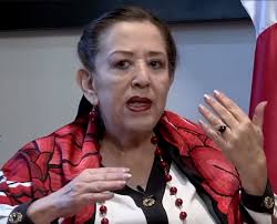 Fallece María Elena Chapa, pionera en la lucha por los derechos de las  mujeres