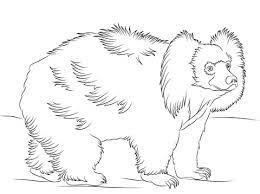 Coloriage Ours Paresseux Qui Marche Coloriages A Imprimer Gratuits