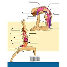 The yoga anatomy coloring book: Buy Yoga Anatomy Coloring Book 3 In 1 Compilation 150 Incredibly Detailed Self Test Beginner Intermediate Expert Yoga Poses Color Workbook Paperback November 20 2020 Online In Turkey 1914207033
