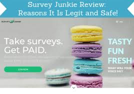 How much does sj pay? Survey Junkie Review Is It Legit And Safe Full Details