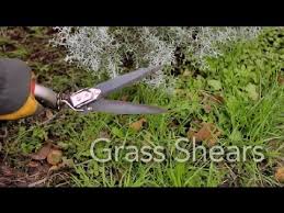 Edged lines between paved areas such as the driveway and sidewalk. How To Use Grass Shears Garden Tool Guides Youtube