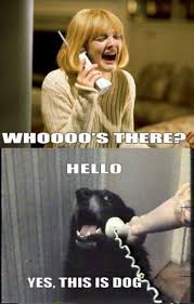 Extremely funny jokes for adults. The 50 Funniest Memes Of All Time Best Life