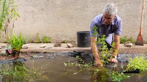Maybe you would like to learn more about one of these? How To Build A Wildlife Pond Wwt