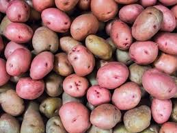 Fill the box with soil and plant the potatoes 4 to 6 inches deep. What Are Potato Eyes Diy