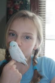 Parrot tattoo design ideas in memory of a loved one