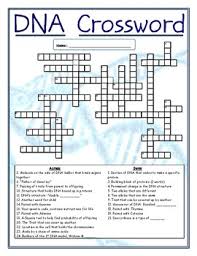 Amy brown science dna and replication. Dna Crossword Worksheets Teaching Resources Teachers Pay Teachers