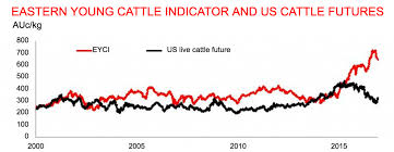 Summer Forecast Adds Pressure To Cattle Price Outlook Beef