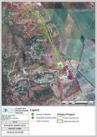 Image result for Blepharis acanthodioides