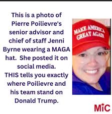 Trolls and the Cult in Canadians against TRUMP group