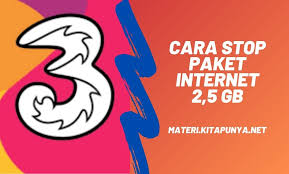 Masa berlaku paket internet dan bonus nelpon kartu 3 4g tersebut adalah 30 hari sejak aktivasi. Cara Berhenti Paket 3 2 5 Gb Harian Kuota Dibagi Bagi Ahmaddzaki