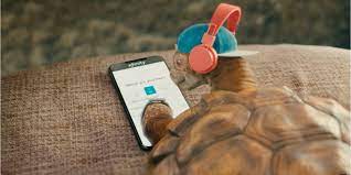 Comcast Brings Back Beloved Turtles That Live Life in the Slow Lane