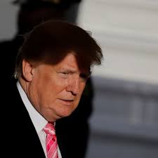 Trump's Twitter Attacks Reveal Him to be 'Wannabe Despot,' Says Political  Violence Expert