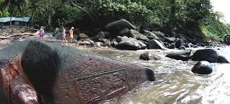 The island features some incredible waterfalls and exudes a real feral and jurassic charm. Tank Tops Flip Flops Uber In Jurassic Park Costa Rica Real Estate Blog