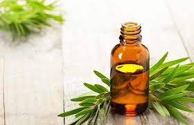 How To Get Rid Of Milia Tea Tree Oil For Acne Tea Tree Oil Oils