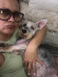 Pls pray for my Kira to get well she is hospitalised and will know the  results later. She been whining all day since yesterday and took her to the  vet… doing full