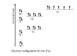 Hence, we start by removing from. Electron Configurations Ck 12 Foundation