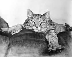 This video was sponsored by skillshare!the first 500 people to sign up via my link will get two free months of skillshare premium ►►. Charcoal Cat Portraits 100 Hand Painted By Real Artists