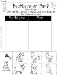 Pin On Science Worksheets