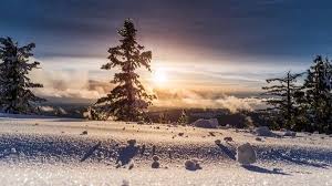 See more ideas about winter solstice, solstice, winter. Celebrate The Winter Solstice With These 6 Classical Works