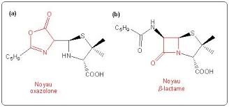 Compare prices for generic penicilline v 300 substitutes: La Penicilline Ii Determination De La Structure Et Synthese D Un Antibiotique Culturesciences Chimie