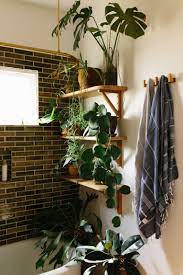Uo Guide Small Spaces Gardening Shower Plant Small Space Gardening Bathroom Plants