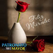 Maybe you would like to learn more about one of these? Patronato Por Mayor Patronatop Perfil Pinterest