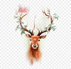 | view 457 elk head illustration, images and graphics from +50,000 possibilities. Elk Moose Tattoo Color Deer Head Reindeer Clipart Tattoo Stag Antlers Free Transparent Png Clipart Images Download