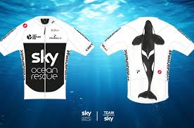 Quatre maillots importants sont attribués au cours du tour de france chaque année. Tour De France Un Maillot Special Pour Le Team Sky