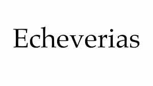 The 21 consonant letters of the russian alphabet are б, в, г, д, ж, з, й, к, л, м, н, п, р, с, т, ф, х, ц, ч, ш and щ. How To Pronounce Echeverias Youtube