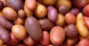 The solanin can usually be removed. Types Of Potatoes Ultimate Guide To Different Kinds Of Potatoes