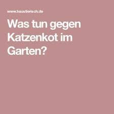 Was Tun Gegen Katzenkot Im Garten Katzenkot Katzen Kot