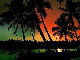 Verde Amarillo Y Rojo Another Day In Paradise Sunset Red Sunset
