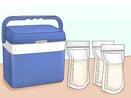 How much money can i make? How To Sell Breast Milk 9 Steps With Pictures Wikihow