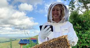 Online Beekeeping Course