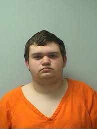 Dozens arrested in online sex sting