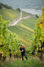Der Rheingau In Hessen Steht Fur Kultur Wein Und Natur Eine Wanderung Durch Die Weinberge Der Region Mit Einem Der Weinkulturbot Rheingau Eltville Landschaft